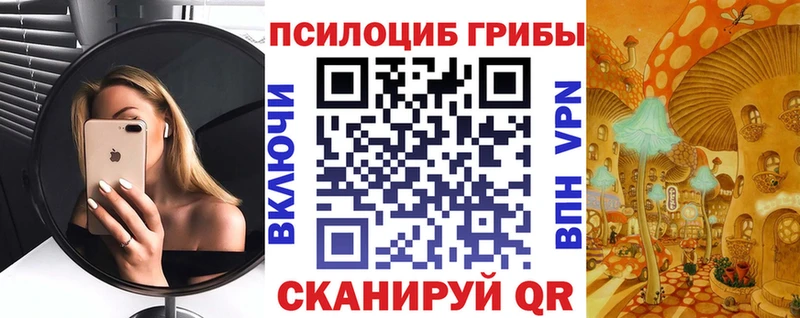 Галлюциногенные грибы прущие грибы  Купить закладки  Сухой Лог 